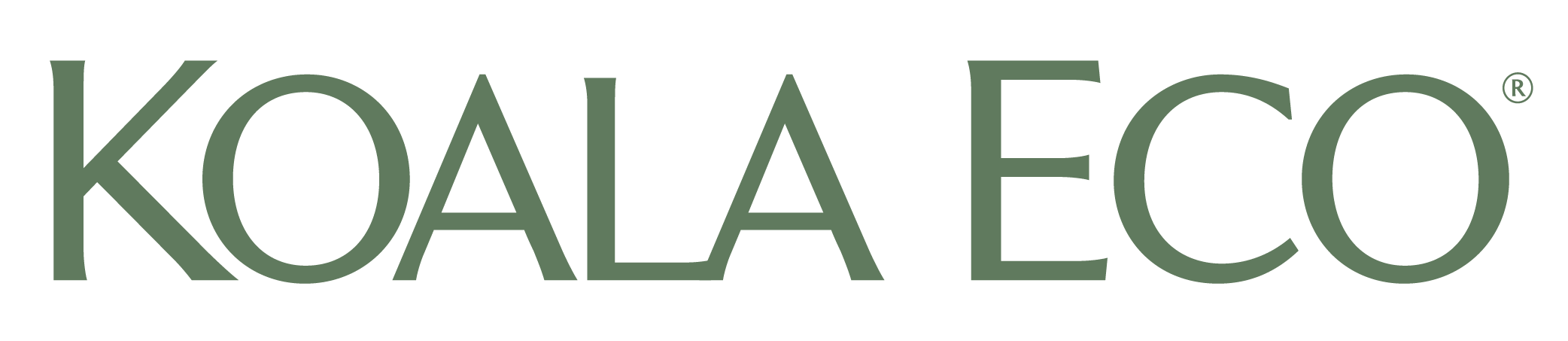 Branch image
